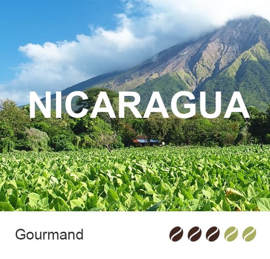Café en grain Bio du Nicaragua