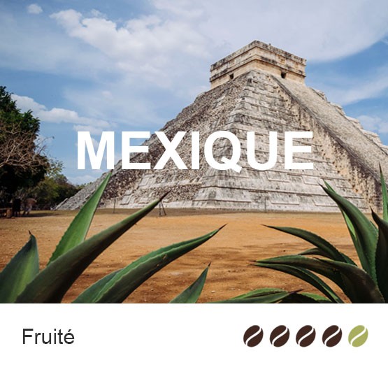 Café en grain Bio du Mexique