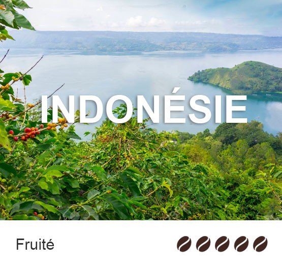 Café en grain Bio d'Indonésie
