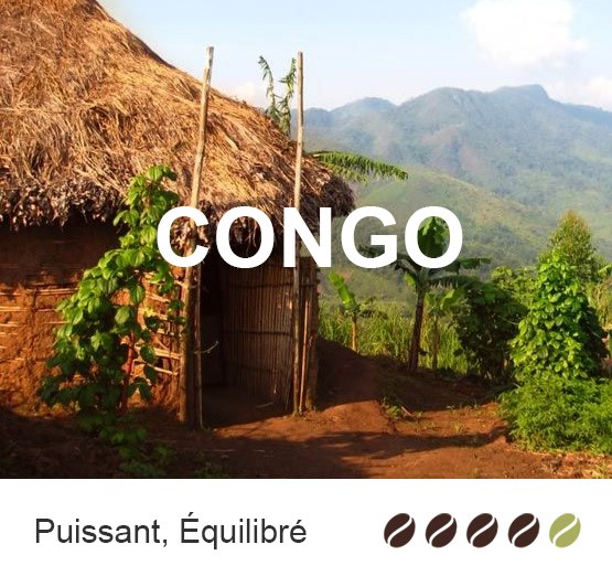 Café en grains Congo bio