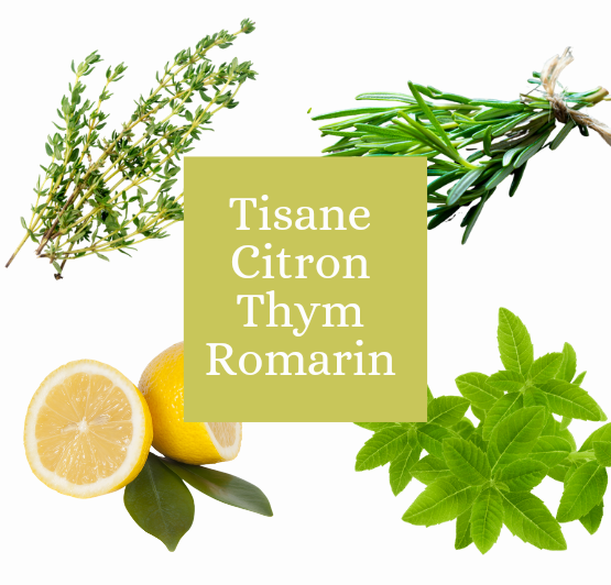 Tisane thym romarin citron