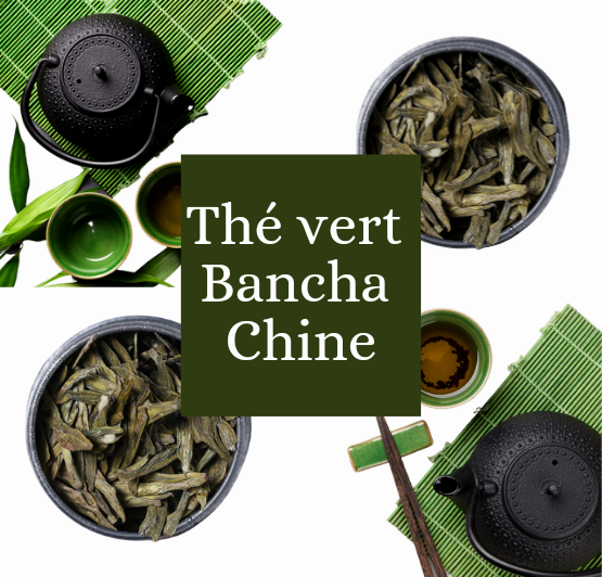 thé vert Bancha bio