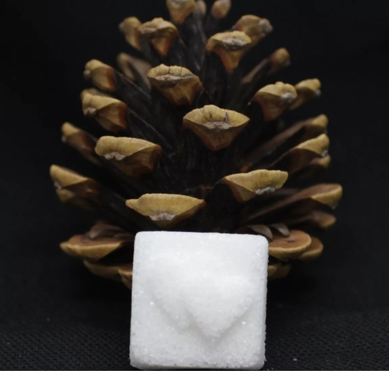 sucre canne original